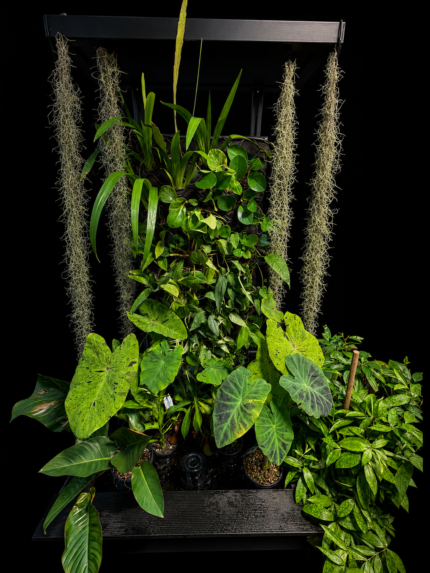 Sacred Nook Garden