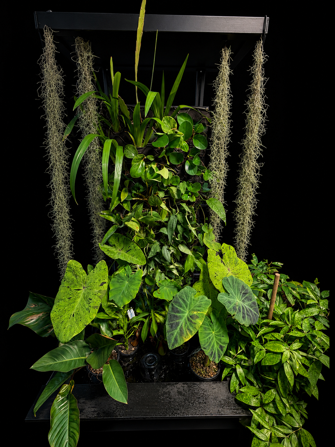 55D5A6CB-DAED-4DCA-9524-B4D412F58706 Sacred Nook Garden - Image 1