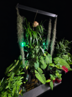 Sacred Nook Garden - Image 4